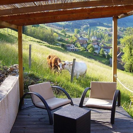 Gite Au Coeur Du Chalet En Belledonne Vers Prapoutel Les 7 Laux Sainte-Agnes  Room photo